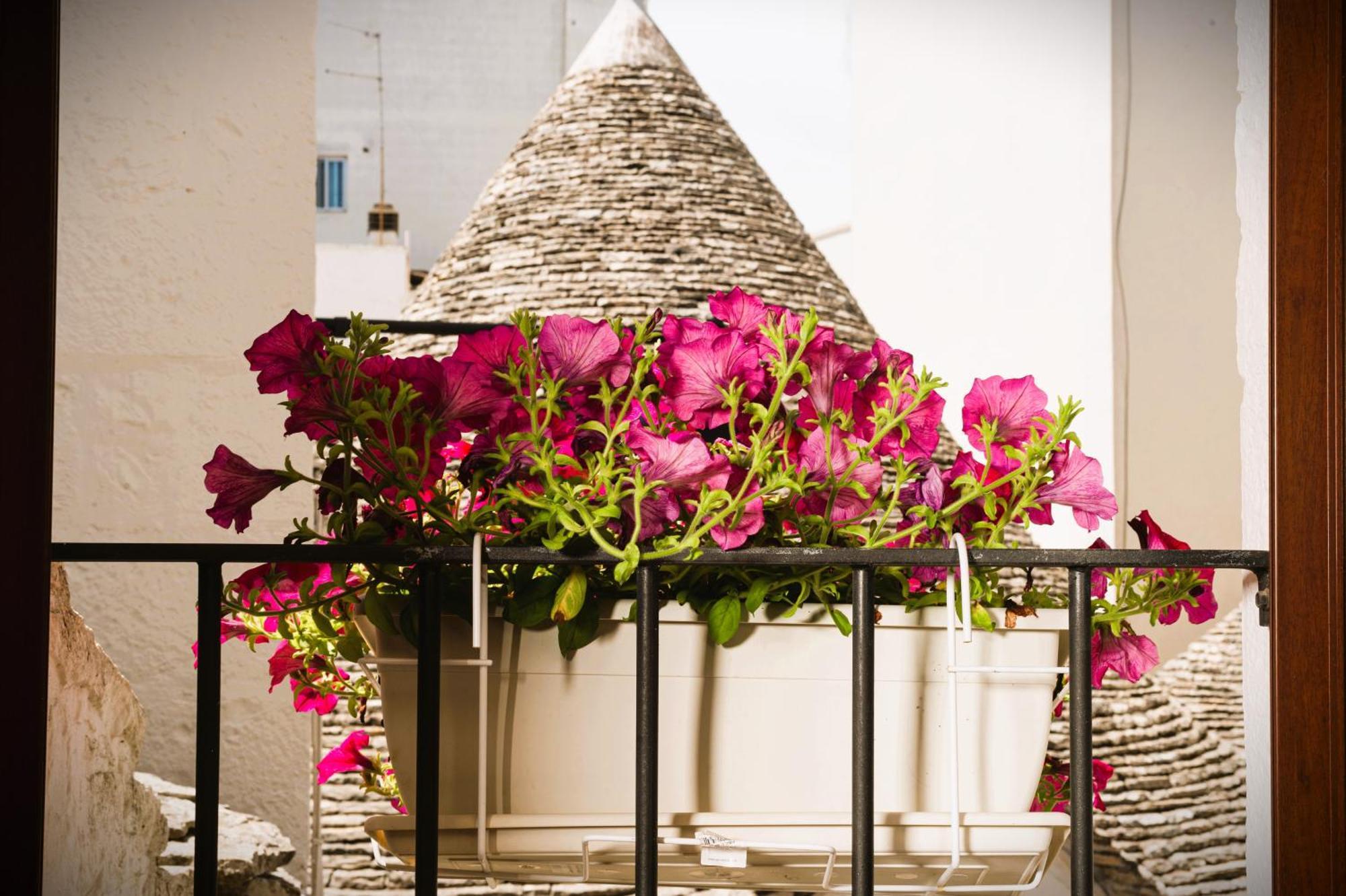 Il Trullo Moore Alberobello Exteriör bild